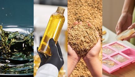 Cottonseed Acid Oil: A Cost-Effective Energy Source for Animal Feed and Industrial Applications 