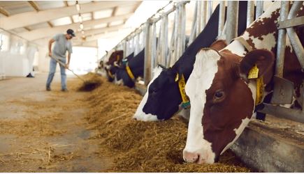 Oxone™: A Trusted Disinfectant for Farm Hygiene, Biosecurity and Animal Health