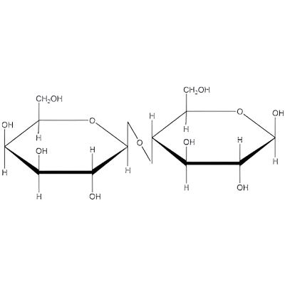 Lactose Lactose