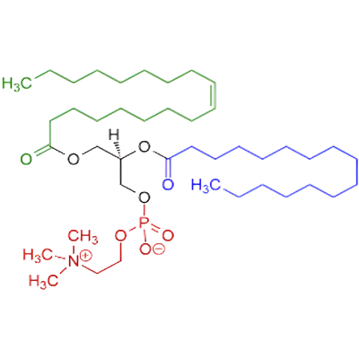 Soya lecithin powder
