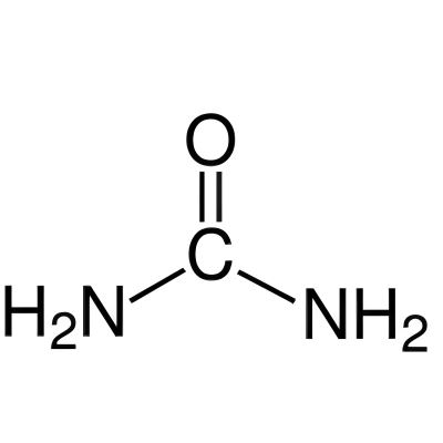 Urea Urea
